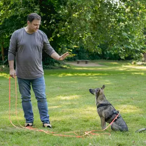 Martin Rütter Hundeschule Mainz / Bad Kreuznach zeigt Kommunikation über Körpersprache im Hundetraining. Der Hund reagiert konzentriert auf das Signal seines Trainers.