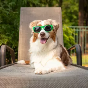 Bild von Mosquito Joe of North Atlanta