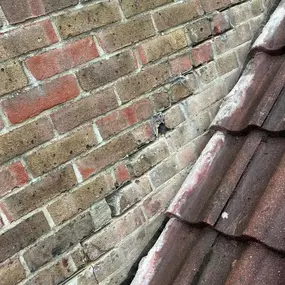 Bild von Stars Roofing Ltd