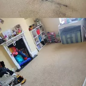 Bild von Spectra Clean