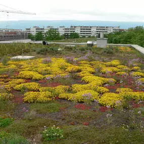 Bild von DULLA PARCS ET JARDINS SA