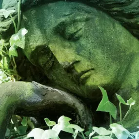 Bild von Siemoneit & Wüthrich Bestattungsdienste GmbH