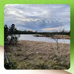 Bild von Janico GmbH