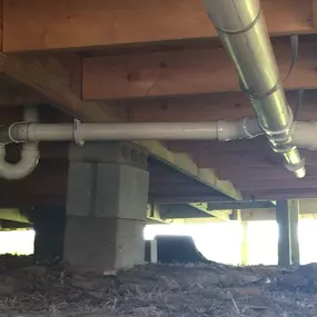 Bild von Showtime Express Plumbing