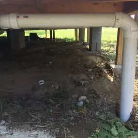 Bild von Showtime Express Plumbing