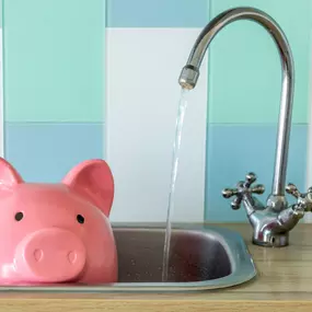 Bild von Showtime Express Plumbing