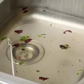 Bild von Showtime Express Plumbing