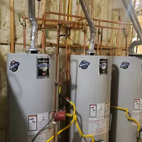 Bild von Showtime Express Plumbing