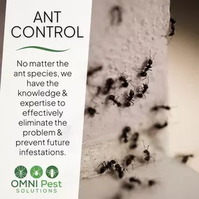 Bild von OMNI Pest Solutions