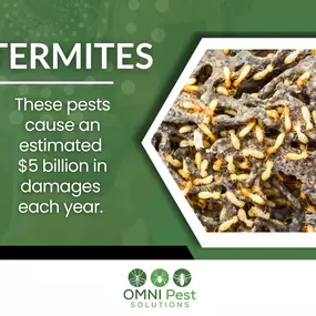 Bild von OMNI Pest Solutions