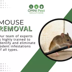 Bild von OMNI Pest Solutions