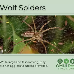 Bild von OMNI Pest Solutions