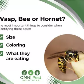 Bild von OMNI Pest Solutions