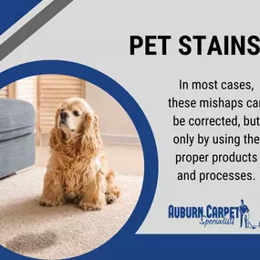 Bild von Auburn Carpet