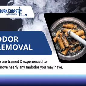 Bild von Auburn Carpet