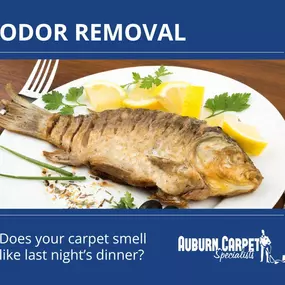 Bild von Auburn Carpet