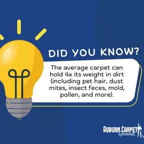 Bild von Auburn Carpet