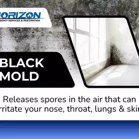 Bild von Horizon Emergency Services & Restoration