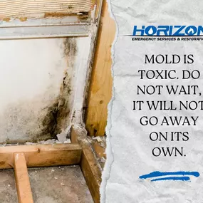 Bild von Horizon Emergency Services & Restoration