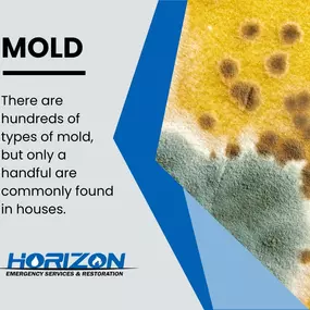 Bild von Horizon Emergency Services & Restoration