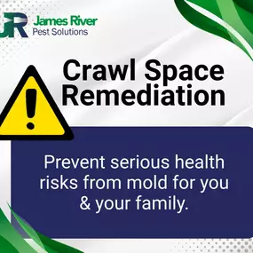 Bild von James River Pest Solutions