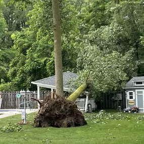 Bild von Spears Tree Experts Inc.