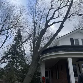 Bild von Spears Tree Experts Inc.