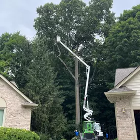 Bild von Spears Tree Experts Inc.