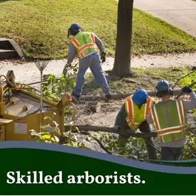 Bild von Spears Tree Experts Inc.