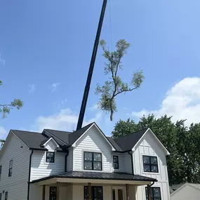 Bild von Spears Tree Experts Inc.