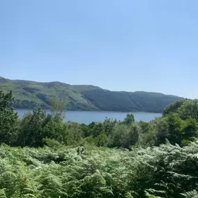 Bild von SAM 'N' A VAN