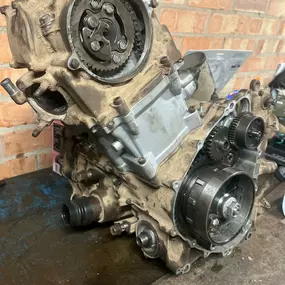 Bild von Mud Hawgz UK