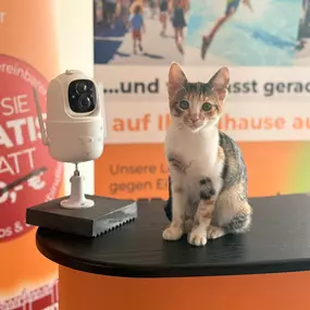 Bild von SicherheitsCelle