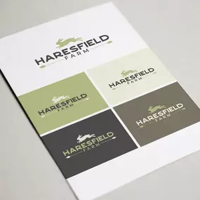 Bild von Mindvision Media Limited