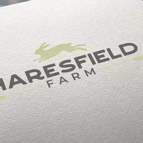 Bild von Mindvision Media Limited