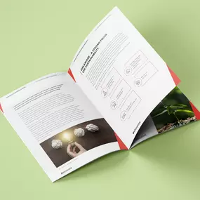 Bild von Mindvision Media Limited