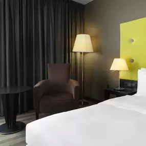 Standard & Superior Room with king size bed