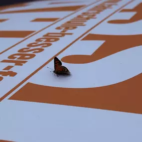 Bild von Fahrschule Leipzig - Besser Fahren