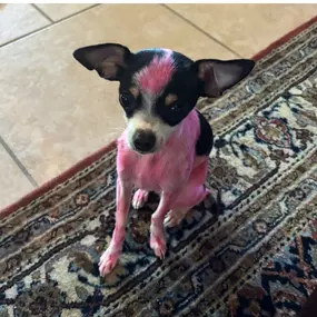 Bild von Franklin and Kiai Counseling Services, PLLC