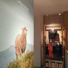 Bild von Icebreaker - Orefici11