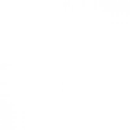 Nakaryu Webdesign Agentur