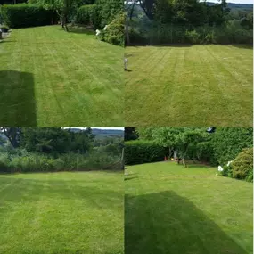 Bild von Fks garden designer