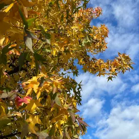 Bild von NaturPur Events - Outdoor Activities