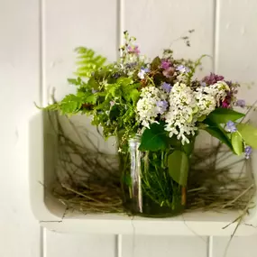 Bild von NaturPur Events - Outdoor Activities