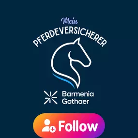 Bild von Mein Pferdeversicherer