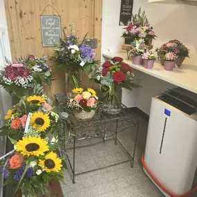 Bild von schöner schenken GmbH