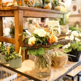 Bild von schöner schenken GmbH