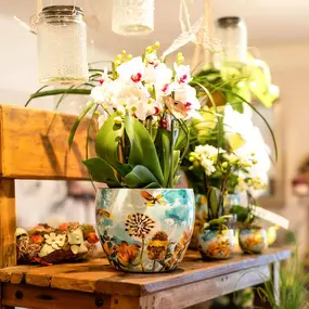 Bild von schöner schenken GmbH