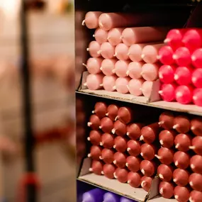 Bild von schöner schenken GmbH