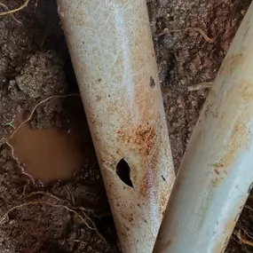 Bild von Leak Tech LLC - Pool Leak Detection And Repair